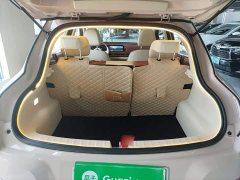 ORA Good Cat 401km Standard Range Luxury LFP - ფოტო 19