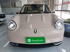 ORA Good Cat 401km Standard Range Luxury LFP - ფოტო 3