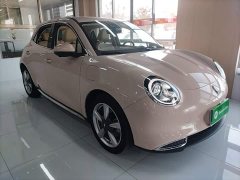 ORA Good Cat 401km Standard Range Luxury LFP - ფოტო 4