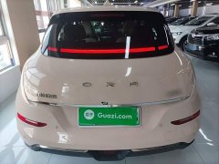 ORA Good Cat 401km Standard Range Luxury LFP - ფოტო 6