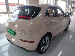 ORA Good Cat 401km Standard Range Luxury LFP - ფოტო 7