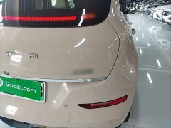 ORA Good Cat 401km Standard Range Luxury LFP - ფოტო 8