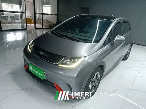 2022 BYD Dolphin 405km Fashion Edition