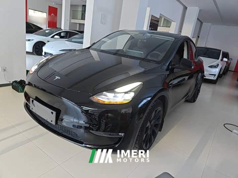 2021 Tesla Model Y Standard Range RWD - ავტომობილი ჩინეთიდან