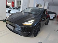 Tesla Model Y Standard Range RWD - ფოტო 2