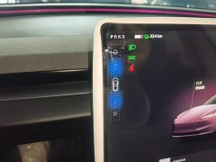 Tesla Model 3 Rear-Wheel Drive - ფოტო 14