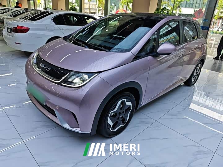 BYD Dolphin 405km Fashion Edition - ავტომობილი ჩინეთიდან