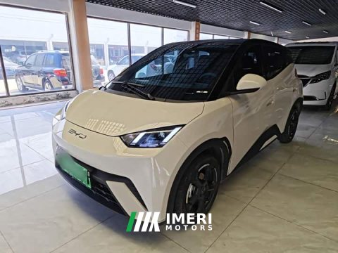 2024 BYD Seagull 2023 Freedom Edition - ავტომობილი ჩინეთიდან