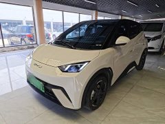 BYD Seagull 2023 Freedom Edition - ფოტო 2