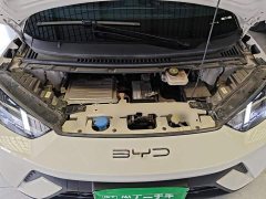 BYD Seagull 2023 Freedom Edition - ფოტო 20