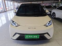 BYD Seagull 2023 Freedom Edition - ფოტო 3