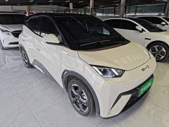 BYD Seagull 2023 Freedom Edition - ფოტო 4