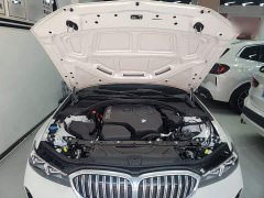 BMW 3 Series 320Li M Sport Package - ფოტო 20