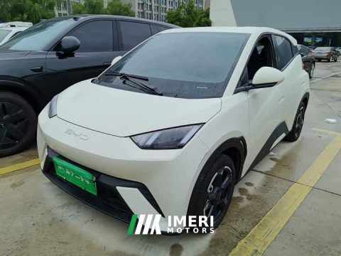 2023 BYD Seagull Freedom Edition - ავტომობილი ჩინეთიდან
