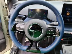 BYD Seagull Freedom Edition - ფოტო 11