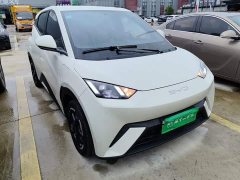 BYD Seagull Freedom Edition - ფოტო 4