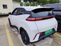 BYD Seagull Freedom Edition - ფოტო 5