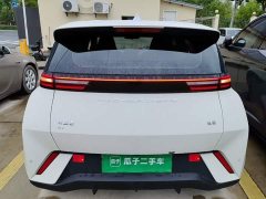 BYD Seagull Freedom Edition - ფოტო 6