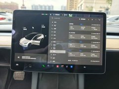 Tesla Model 3 Standard Range RWD Upgrade - ფოტო 9