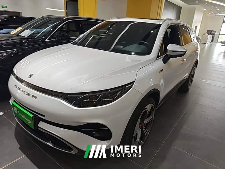 Denza X 2020 PHEV Premier Edition - ავტომობილი ჩინეთიდან