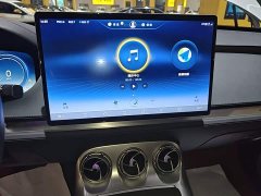 Denza X 2020 PHEV Premier Edition - ფოტო 13