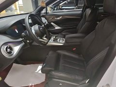 Denza X 2020 PHEV Premier Edition - ფოტო 15