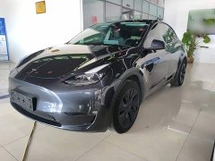 Tesla Model Y Long Range All-Wheel Drive - ფოტო 1