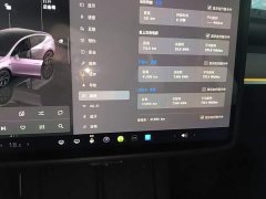 Tesla Model Y Long Range All-Wheel Drive - ფოტო 12