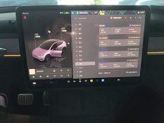 Tesla Model Y Long Range All-Wheel Drive - ფოტო 13