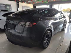 Tesla Model Y Long Range All-Wheel Drive - ფოტო 7