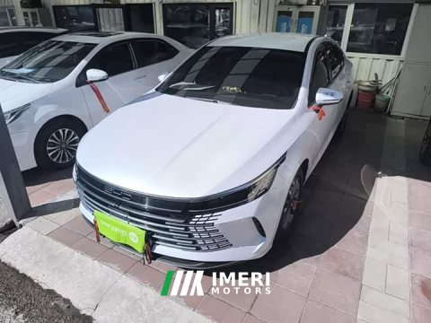 2024 BYD Destroyer 05 Glory Edition DM-i 55KM Luxury - ავტომობილი ჩინეთიდან