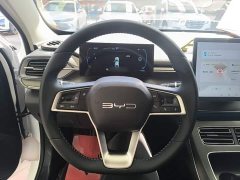 BYD Destroyer 05 Glory Edition DM-i 55KM Luxury - ფოტო 11