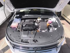 BYD Destroyer 05 Glory Edition DM-i 55KM Luxury - ფოტო 20