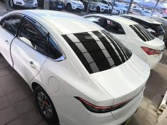 BYD Destroyer 05 Glory Edition DM-i 55KM Luxury - ფოტო 5