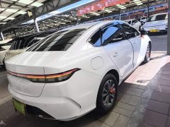 BYD Destroyer 05 Glory Edition DM-i 55KM Luxury - ფოტო 7