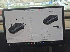 Tesla Model Y Long Range All-Wheel Drive - ფოტო 12
