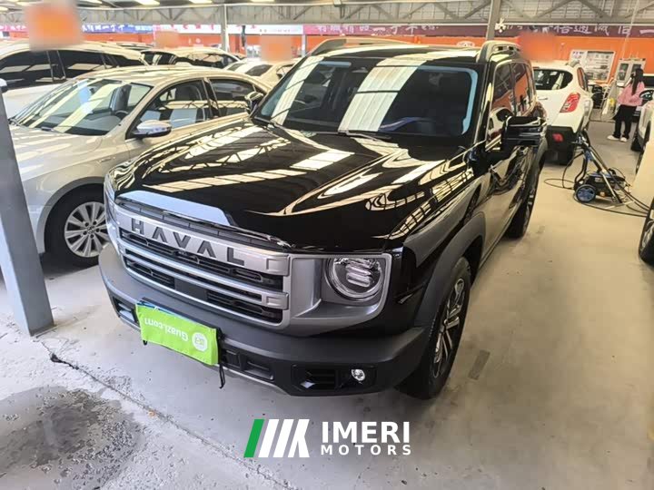 Great Wall Dachshund 2024 1.5T DCT Border Collie Edition - ავტომობილი ჩინეთიდან