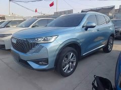 Haval H6 New Energy DHT-PHEV 55KM Comfort Edition - ფოტო 2