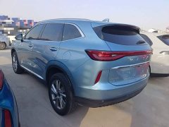 Haval H6 New Energy DHT-PHEV 55KM Comfort Edition - ფოტო 5
