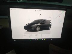 Tesla Model Y Rear-Wheel Drive - ფოტო 12