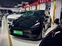 Tesla Model Y Rear-Wheel Drive - ფოტო 2