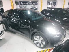 Tesla Model Y Rear-Wheel Drive - ფოტო 4