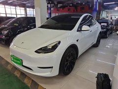 Tesla Model Y Long Range All-Wheel Drive - ფოტო 1