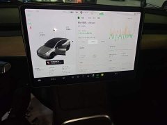 Tesla Model Y Long Range All-Wheel Drive - ფოტო 13
