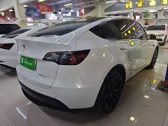 Tesla Model Y Long Range All-Wheel Drive - ფოტო 7