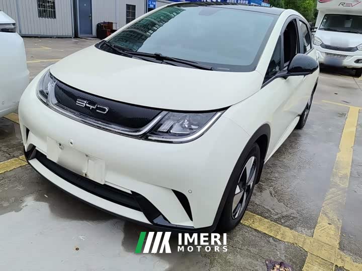 BYD Dolphin 420km Fashion Edition - ავტომობილი ჩინეთიდან