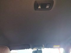 BYD Qin PLUS 2024 Glory Edition DM-i 55KM Leading - ფოტო 18