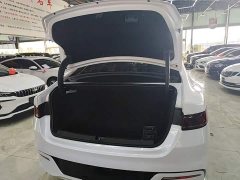 BYD Qin PLUS 2024 Glory Edition DM-i 55KM Leading - ფოტო 19