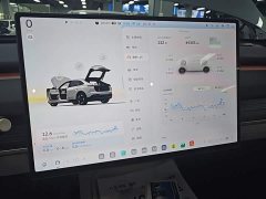 Nio Lerado L60 2024 60kWh Rear-Wheel Drive - ფოტო 12