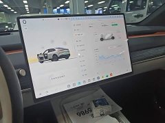 Nio Lerado L60 2024 60kWh Rear-Wheel Drive - ფოტო 13